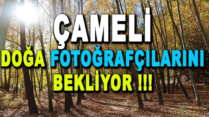 Çameli Doğa Fotoğrafçılarını Bekliyor
