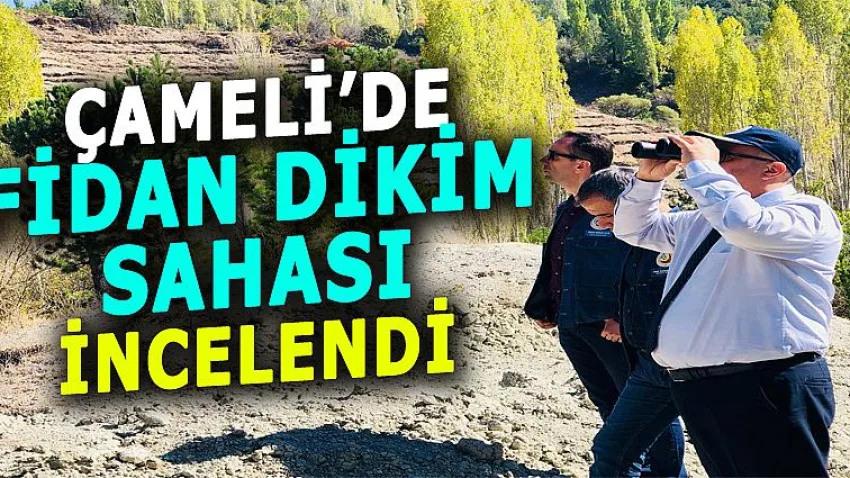 Çameli'de Fidan Dikim Sahası İncelendi