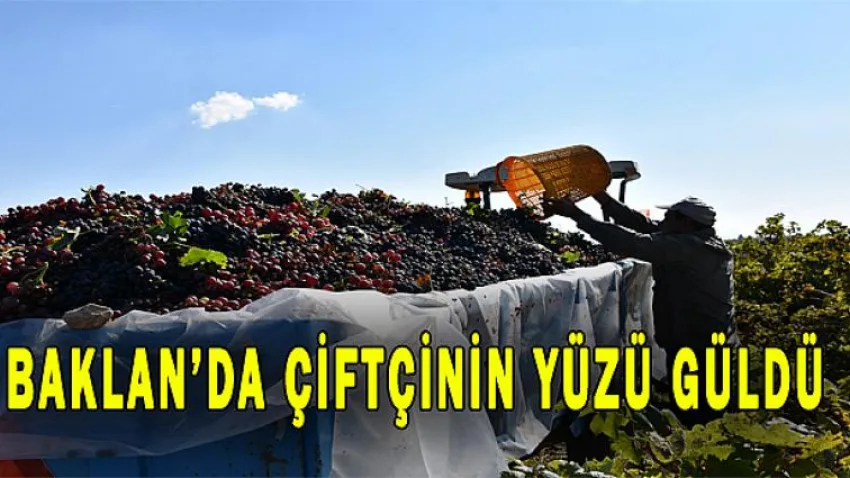 Baklan'da Çiftçinin Yüzü Güldü