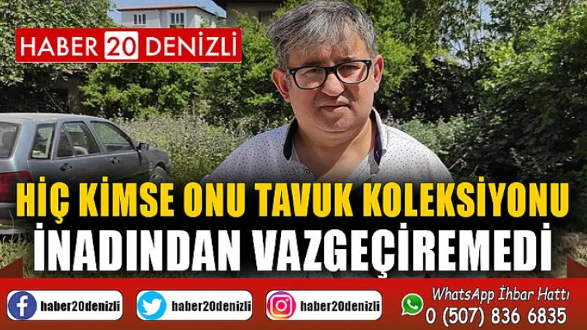 Hiç kimse onu tavuk koleksiyonu inadından vazgeçiremedi