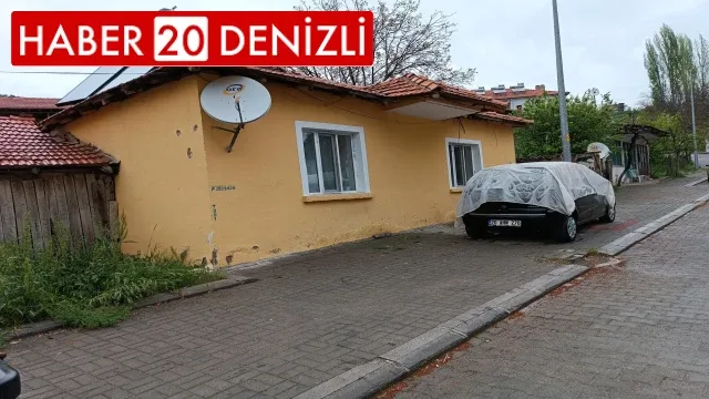 Mal canın yongası