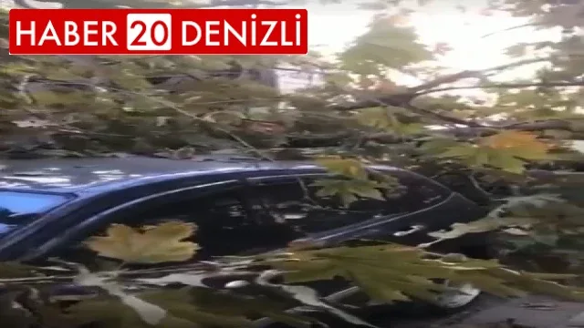 Prefabrik ev taşıyan tırın kırdığı ağaç 2 araca zarar verdi