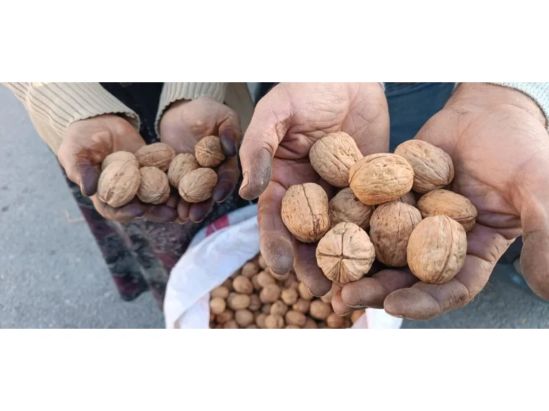 Başkan Arslan Zahire Pazarını ( Hububat Pazarı ) Gezdi