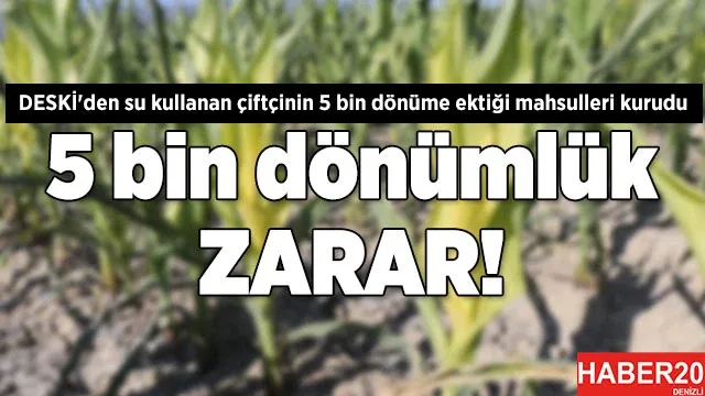 DESKİ'den su kullanan çiftçinin 5 bin dönüme ektiği mahsulleri kurudu