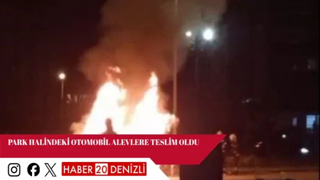 Park halindeki otomobil alevlere teslim oldu