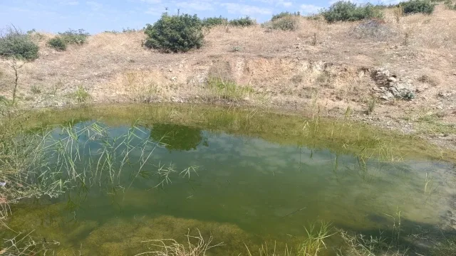 Orman yangınlarında yaban hayatının düştüğü sıkıntılı duruma kayıtsız hayırseverler gölet çalışmalarına başladı