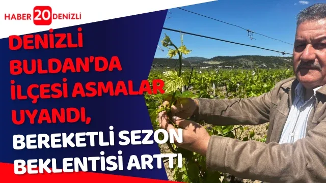 Buldan’da asmalar uyandı, bereketli sezon beklentisi arttı