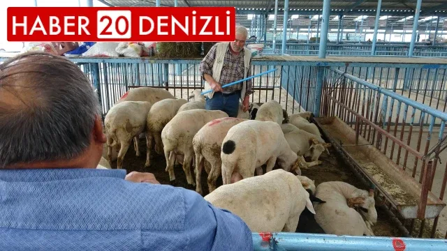 Şap hastalığı nedeniyle kapatılan hayvan pazarı Kurban Bayramı için tekrar açılıyor
