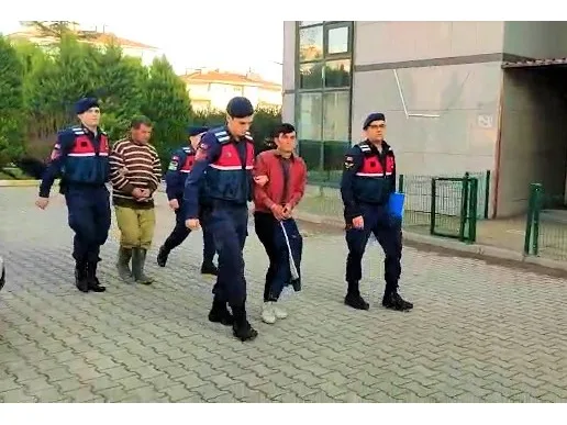 Ayılar ve yaban hayatını izlemek için kurulan fotokapanlar hırsızların hedefi oldu