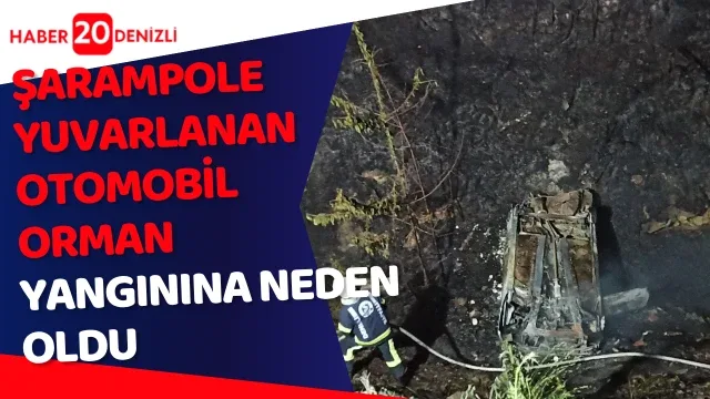 Şarampole yuvarlanan otomobil orman yangınına neden oldu
