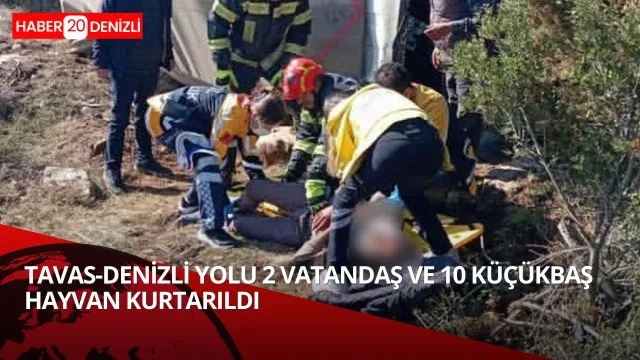 10 küçük baş hayvan ile 2 vatandaş ise hafifçe yaralandı