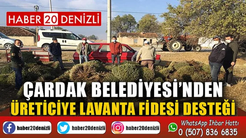 Çardak Belediyesi’nden Üreticiye Lavanta Fidesi Desteği