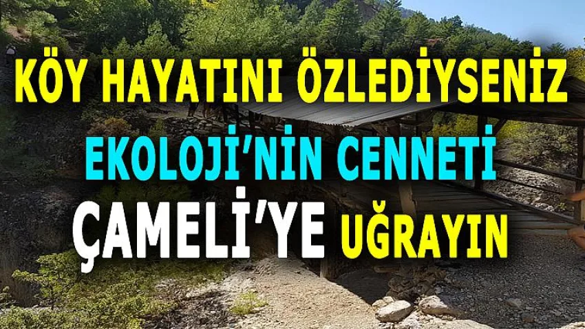 Köy Hayatını Özlediyseniz Ekolojinin Cenneti Çameli'ye Uğrayın