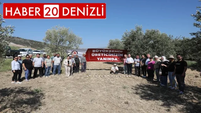 Denizli’de zeytin sineğiyle mücadele başlatıldı