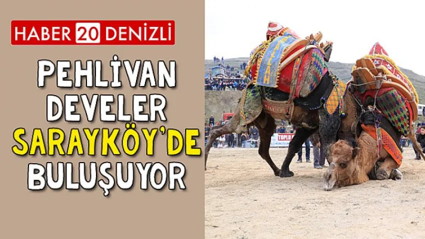 Pehlivan Develer Sarayköy'de Buluşuyor
