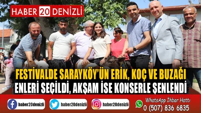 Festivalde Sarayköy’ün erik, koç ve buzağı enleri seçildi, akşam ise konserle şenlendi