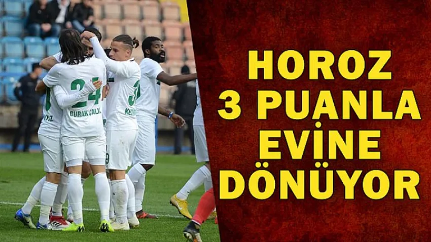 Horoz 3 Puanla Evine Dönüyor