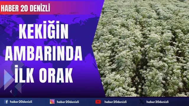 Kekiğin ambarında ilk orak vuruldu