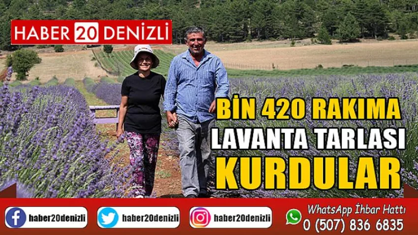 Bin 420 rakıma lavanta tarlası kurdular