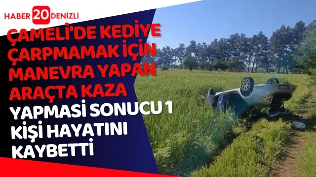 Kediye çarpmamak için manevra yapan araç ta 1 kişi hayatını kaybetti