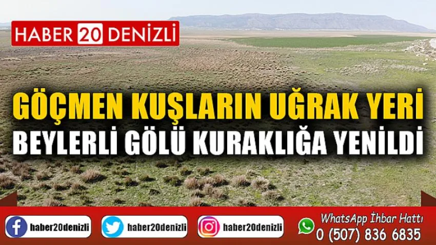 Göçmen kuşların uğrak yeri Beylerli Gölü kuraklığa yenildi