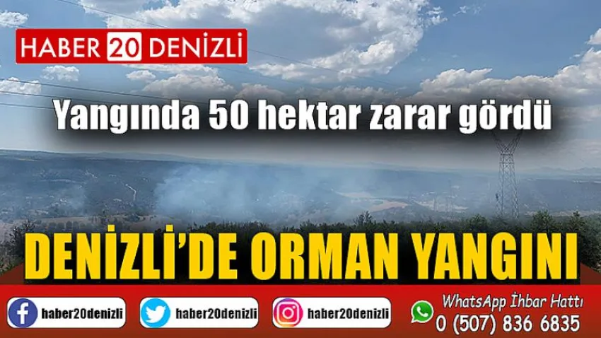 Denizli'de Orman Yangını
