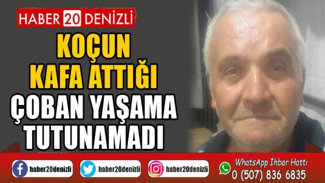 Koçun kafa attığı çoban yaşama tutunamadı