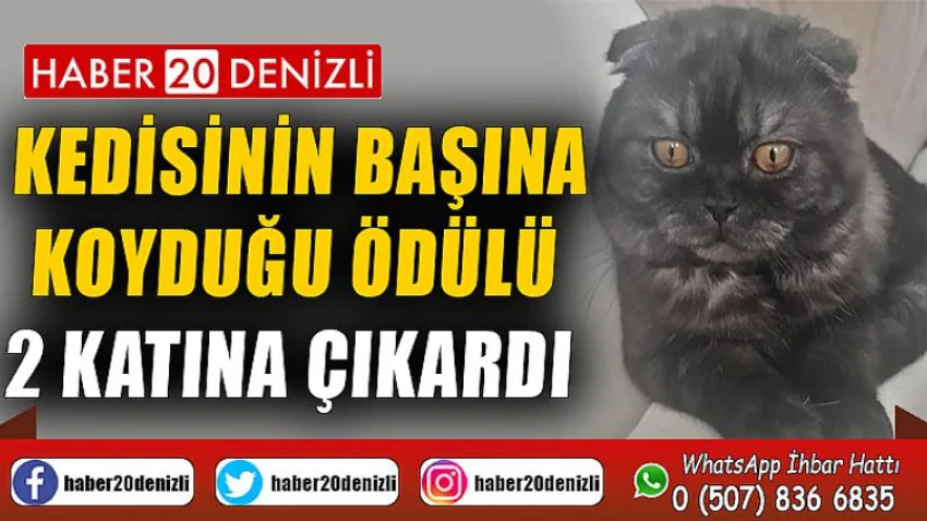 Kedisinin başına koyduğu ödülü 2 katına çıkardı