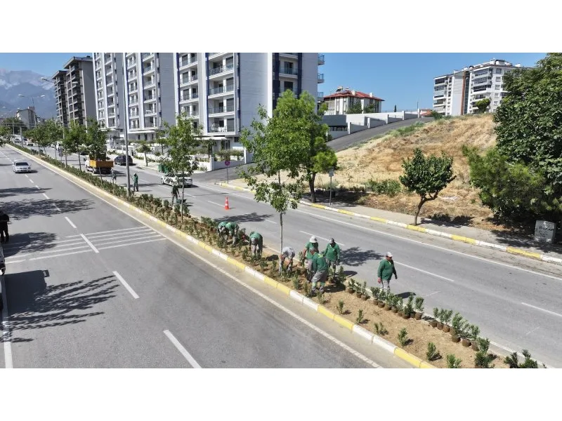 Denizli’de susuzluğa dayanıklı yeşil bitki dönemi başlıyor
