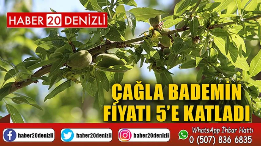 Çağla bademin fiyatı 5’e katladı