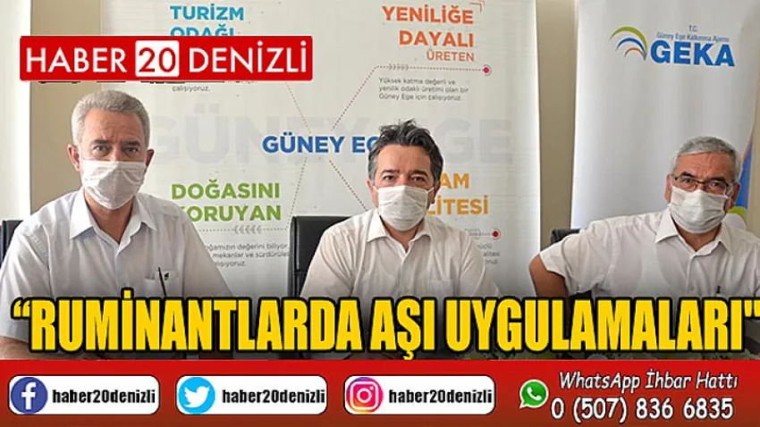 “Ruminantlarda Aşı Uygulamaları''