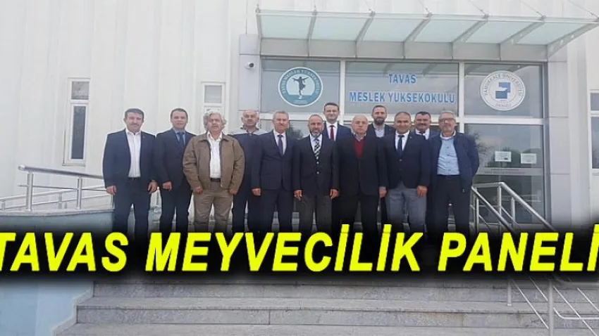 Tavas Meyvecilik Paneli