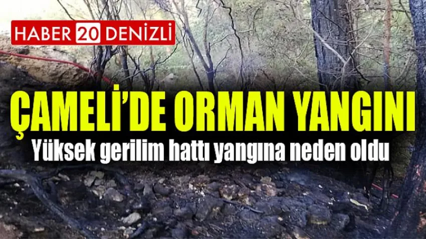 Yüksek gerilim hattı yangına neden oldu