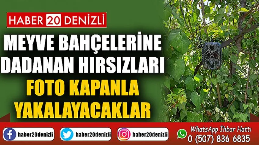 Meyve bahçelerine dadanan hırsızları foto kapanla yakalayacaklar