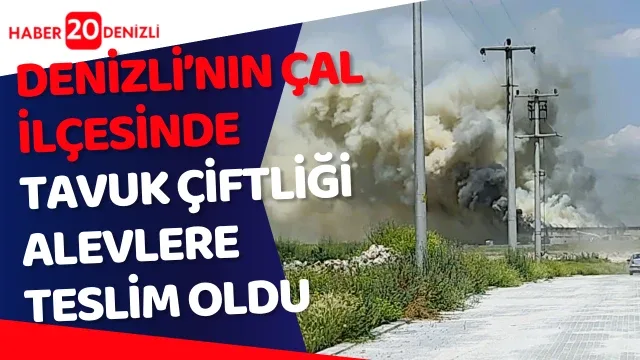 Tavuk çiftliği alevlere teslim oldu