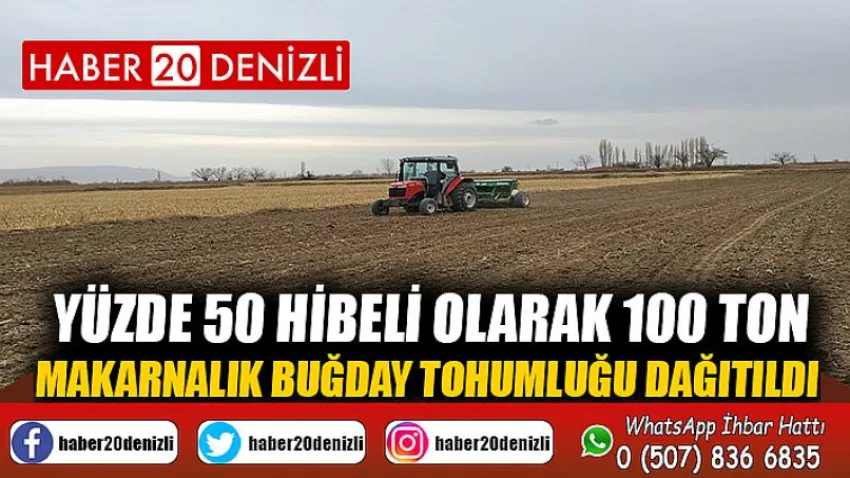 Yüzde 50 hibeli olarak 100 ton makarnalık buğday tohumluğu dağıtıldı