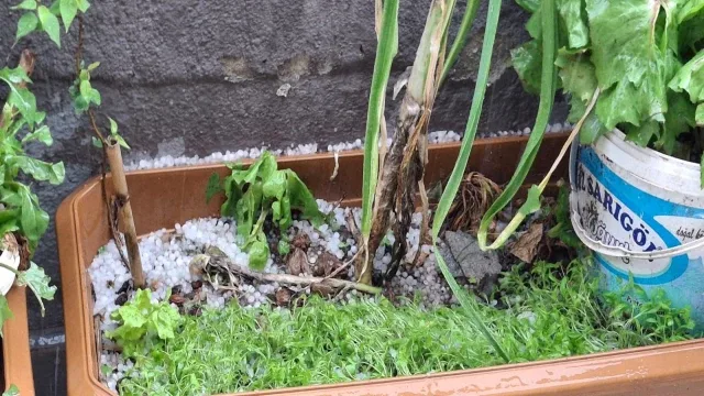 Kale’de dolu yağışı etkili oldu