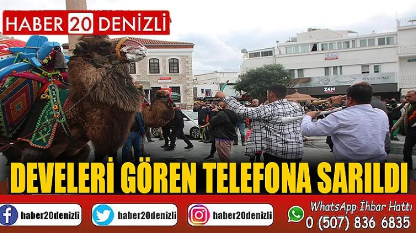 Develeri gören telefona sarıldı
