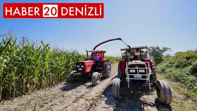 Silajlık mısır hasadı Tarla Günü ile kutlandı