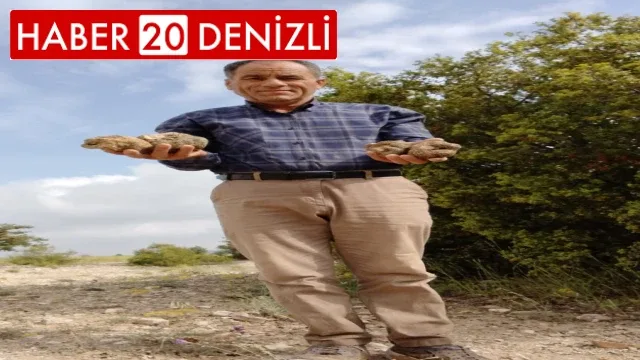 Belevi’nin dağlarından trüf fışkırıyor