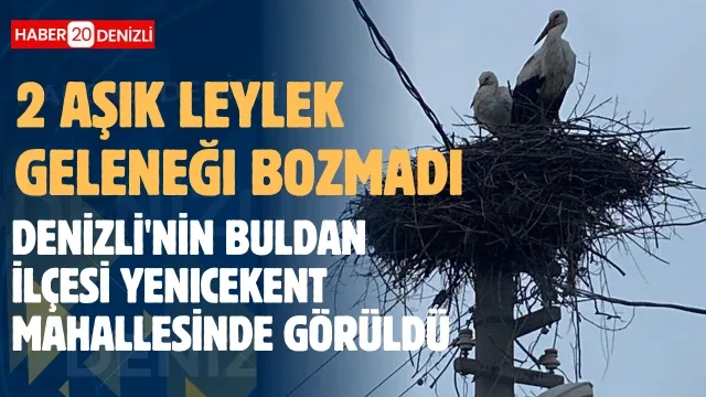 2 aşık leylek geleneği bozmadı