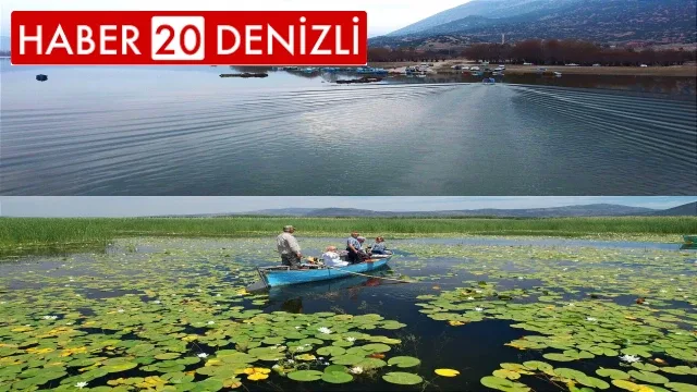 Nilüfer deryasında muazzam değişim
