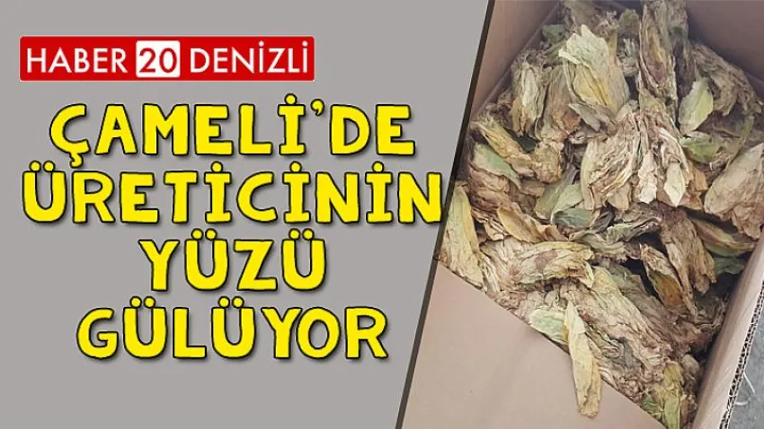 Çameli'de Üreticinin Yüzü Gülüyor