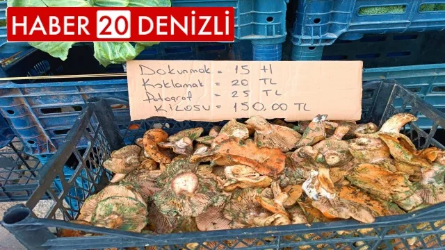 Fiyatı eti geçen çıntar satıcısından ilginç etiket