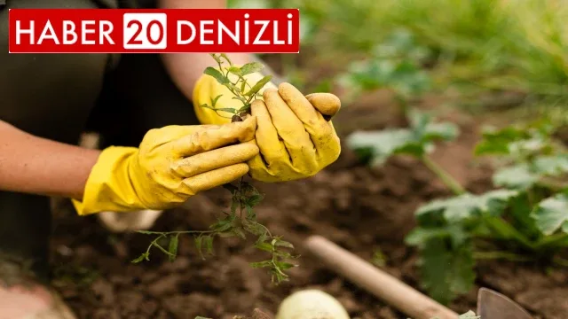 Hobi bahçesi başvuruları başlıyor