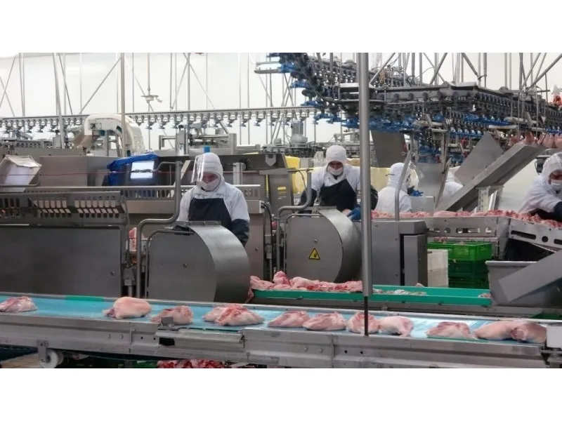 70 ülkeye 120 milyon dolar ihracat yapan Gedik Piliç, 2023'te de büyümeye devam ediyor