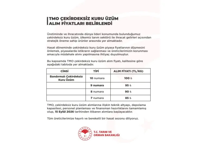 TMO'nun çekirdeksiz kuru üzüm alım fiyatı belli oldu