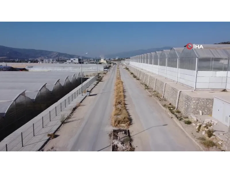 Saraköy Jeotermal Kaynaklı Sera Organize Tarım Bölgesinde 7 sera parselinde üretim başladı