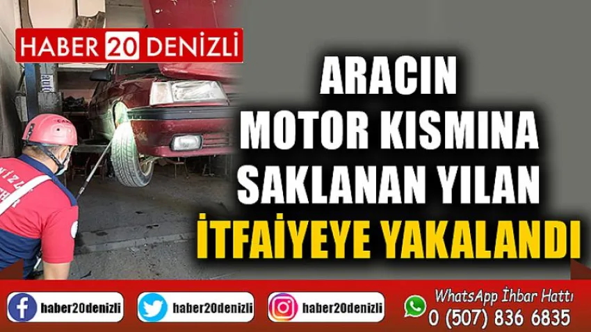Aracın motor kısmına saklanan yılan, itfaiyeye yakalandı