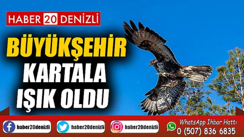 Büyükşehir kartala ışık oldu